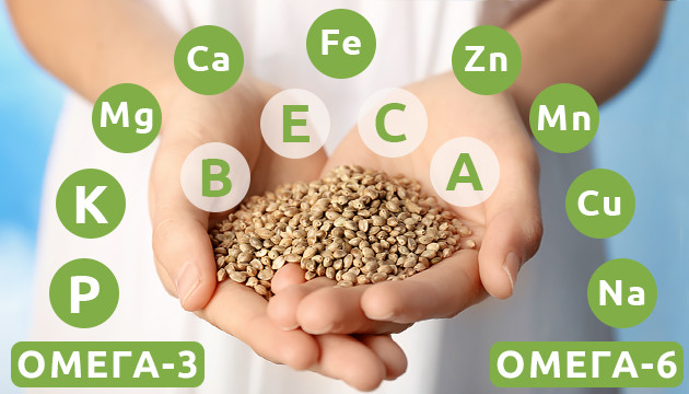 В семенах конопли содержится ОМЕГА 3 и ОМЕГА 6