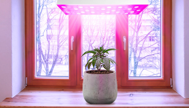 Выращивание рассады в индоре Освещение при индорном выращивании рассады