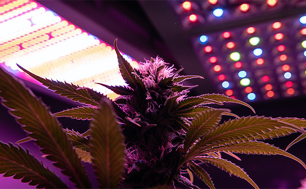 Электромагнитное излучение и его воздействие на ТГК Ионизирующее воздействие высокочастотного света