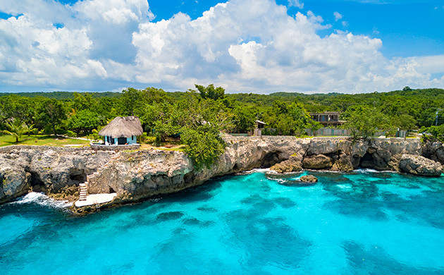 Каннабис в Оренж-Хилл