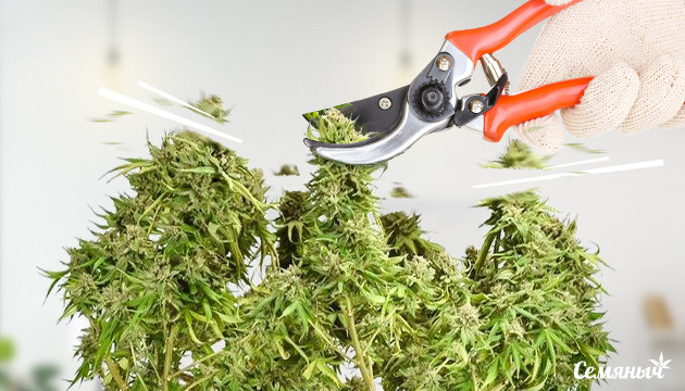 Техника Бэкбилдинг