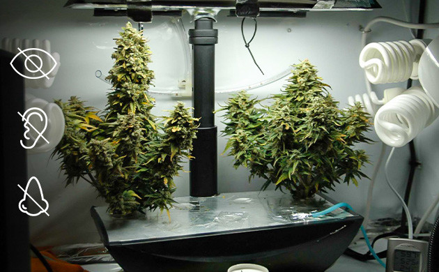 Каким должен быть стелс бокс