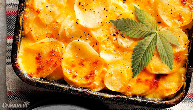 Картофельный гратен с коноплёй Каннабиноидный картофельный гратен