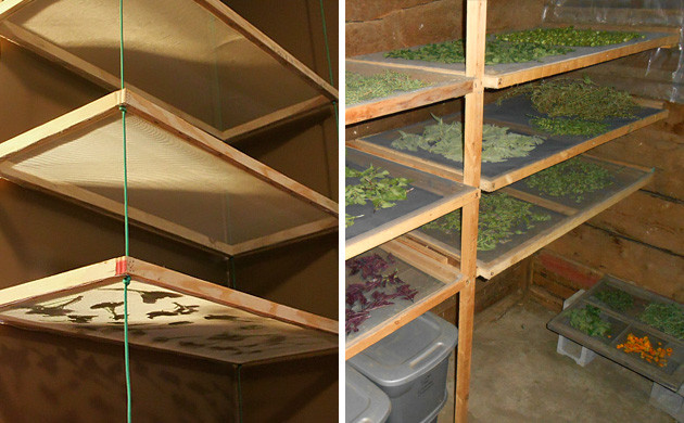 Сушка для марихуаны своими руками