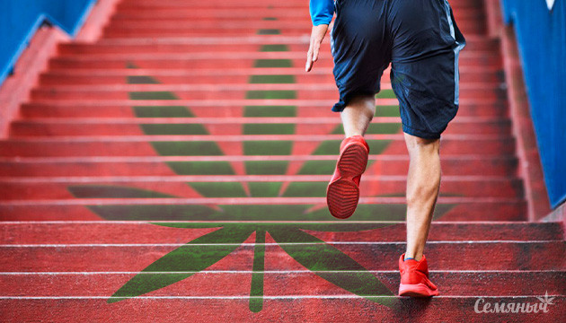 Сорта для спорта Занятие спортом