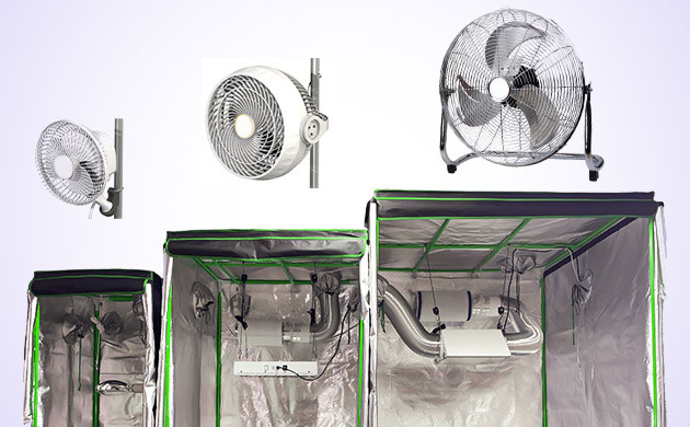 интенсивность обдува куста марихуаны Вентилятор не должен дуть слишком сильно