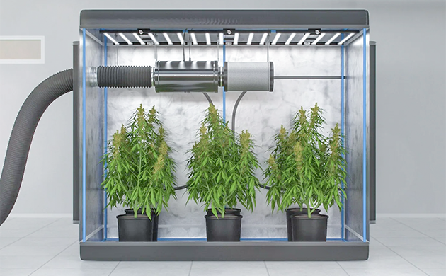 Роль угольных фильтров в улавливании спор, пыльцы и других частиц