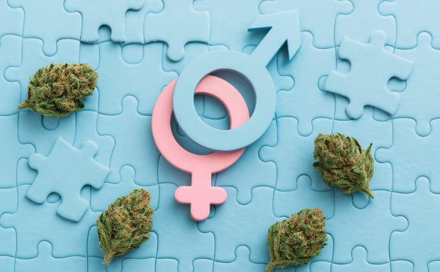 Гендерные различия в употреблении каннабиса