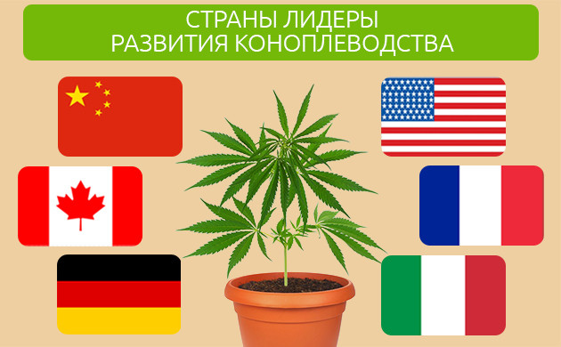 Лидеры производства промышленной конопли Лидирующие в развитии коноплеводства страны