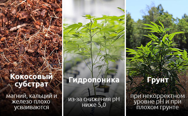 Почему возникает дефицит магния