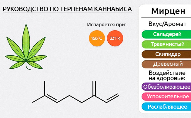 Характеристики мирцена Свойства терпена мирцена
