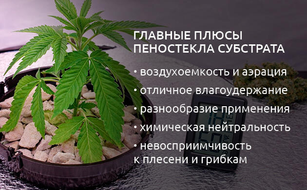 Плюсы и минусы пеностекла как субстрата для марихуаны Преимущества и недостатки пеностекла как субстрата для марихуаны