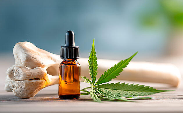 КБД и восстановление после травм Каннабидиол для укрепления костной ткани