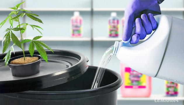 Раствор для гидропонной системы