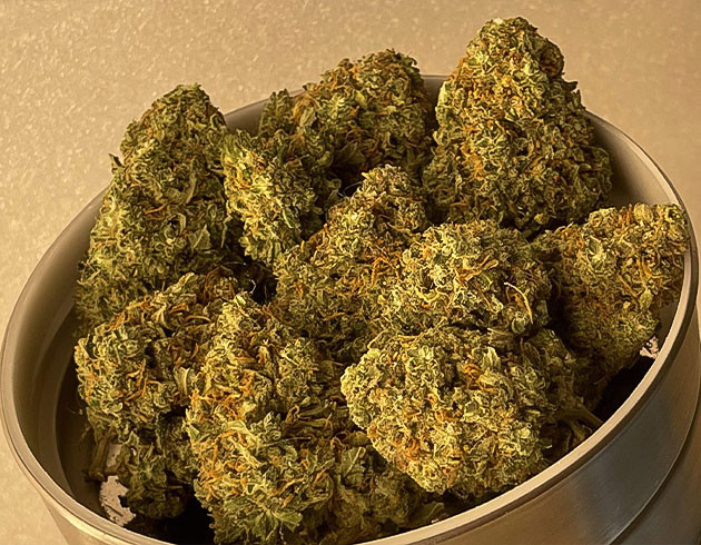 Сухие соцветия Mimosa Cake Auto