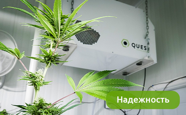 Надежность оборудования для выращивания каннабиса