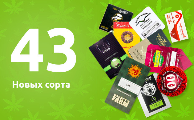 Новые сорта магазина Семяныч 43 новых сорта в каталоге