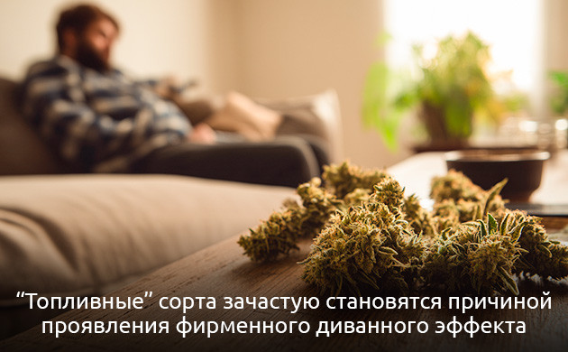 Категория «Топливо»