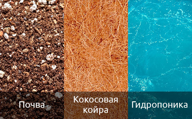 Среда для выращивания автоцветущих сортов Среда для выращивания автоцветов