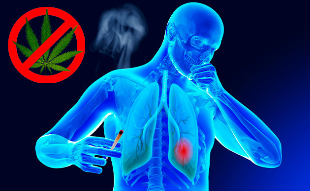 Противопоказание марихуаны при болезных легких