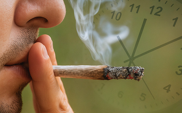 Продолжительность действия ТГК