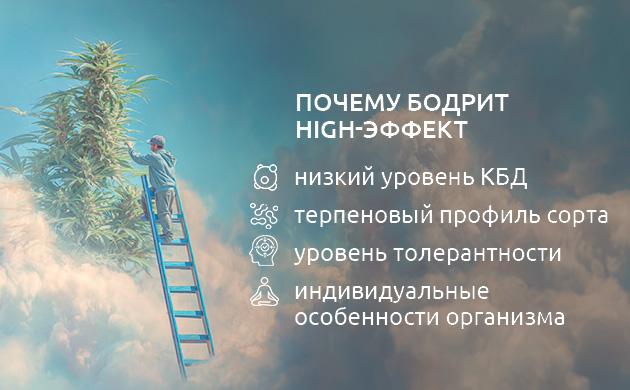 Как работает эффект high и различие между хай и стоун Как работает эффект high