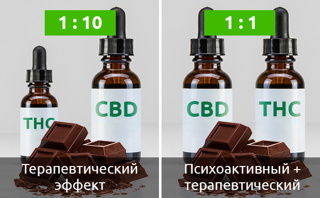 Доля каннабиноидов для добавления в шоколад