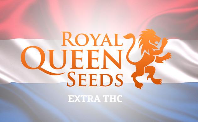 Royal Queen Seeds – представитель европейской селекции