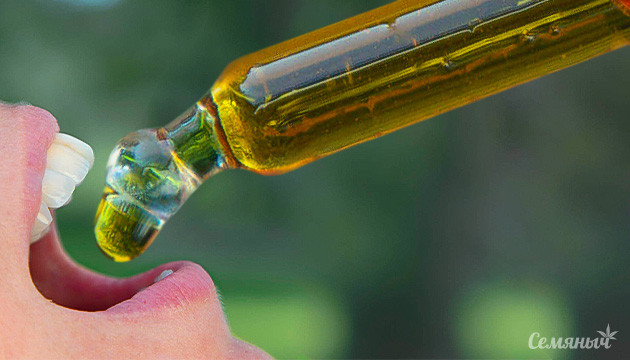 Перерыв в использовании марихуаны: практический смысл