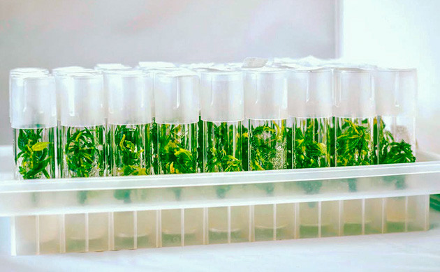 Эффективность использования пространства