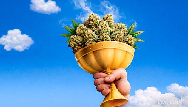 Любительский гров каннабиса в Калифорнии: конкурс California Cannabis Awards