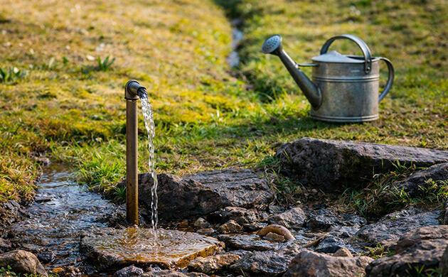 Снижение жесткости воды перед использованием Вода из скважины для полива конопли