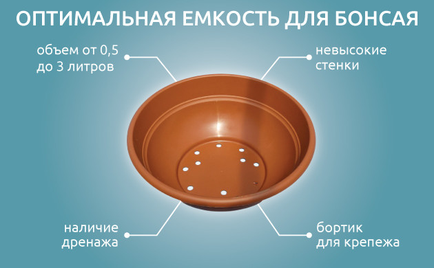 Пересадка конопляного бонсай Горшки для каннабис-бонсай