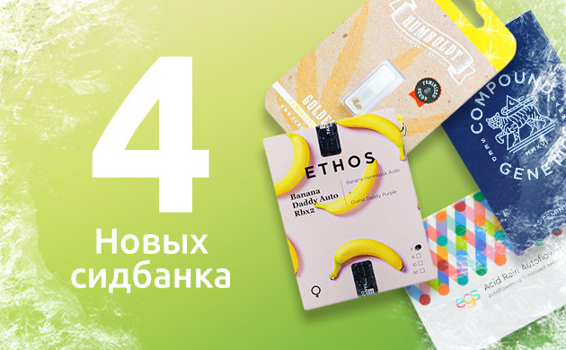 Новые сидбанки в «Семяныче» в 2024 Ассортимент 2024 года