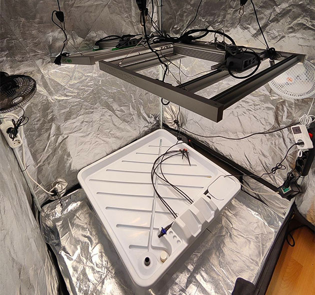 Проращивание Dozy Doz