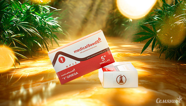 История и популярность Y Griega