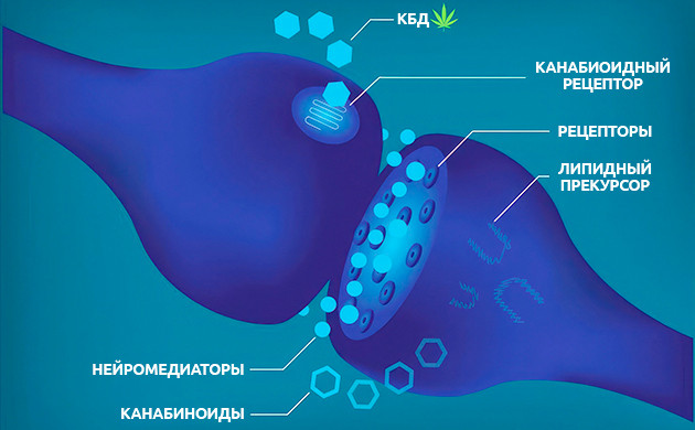 Результативность КБД против стресса