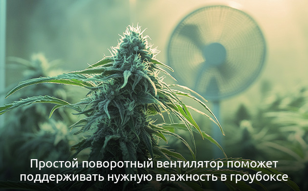 Хорошая вентиляция