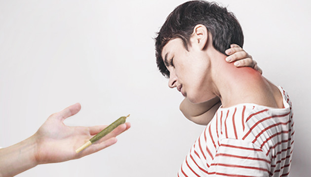 Марихуана при хронических болях Хронические боли