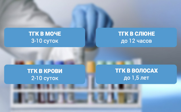 Ориентировочные сроки выведения ТГК из мочи слюны. крови и волос