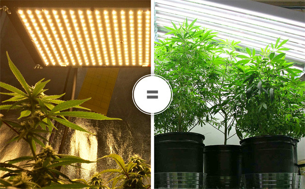 Фитопанели для выращивания конопли