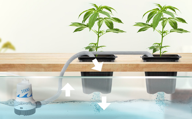 Система капельного полива корневой системы