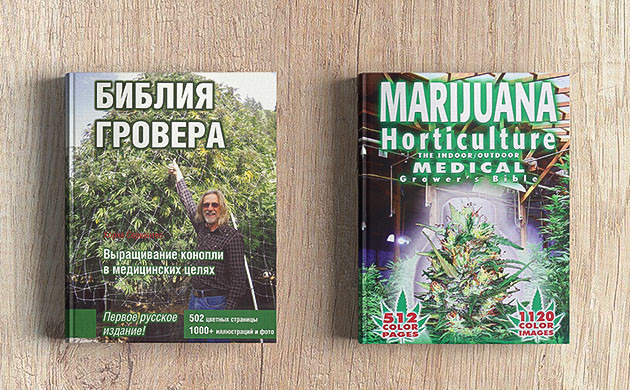 Путь к успеху и признанию Хорхе Сервантеса