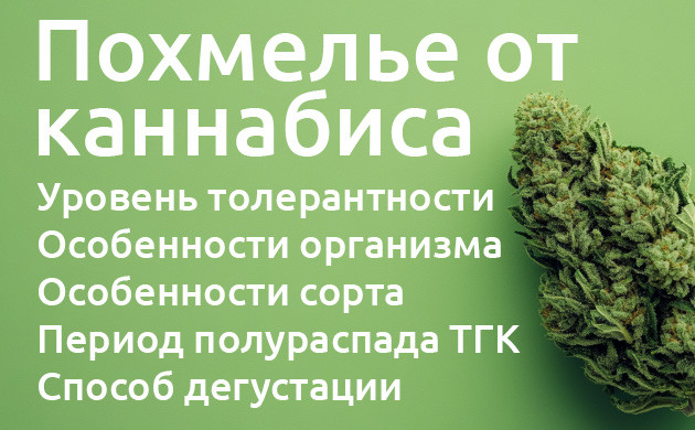 Причины возникновения похмелья Похмелье от каннабиса