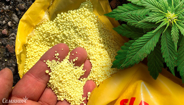 Нехватка серы у каннабиса