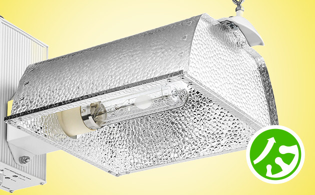 Использование ламп LEC для увеличения производства трихом в конопле