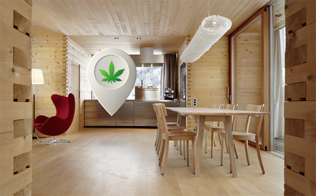 Конопля на даче