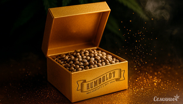 Новые автики от сидбанка Humboldt Seed Company Автоцветы от Humboldt Seed Company