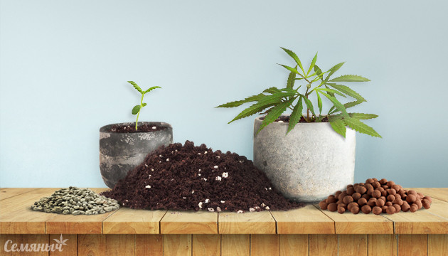 Почвосмеси для марихуаны