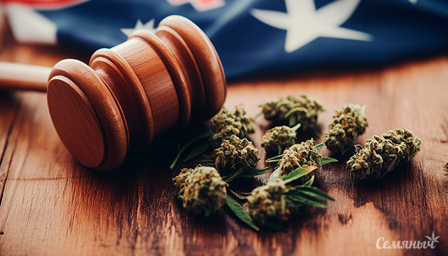 Сенат Австралии отклонил закон о легализации конопли